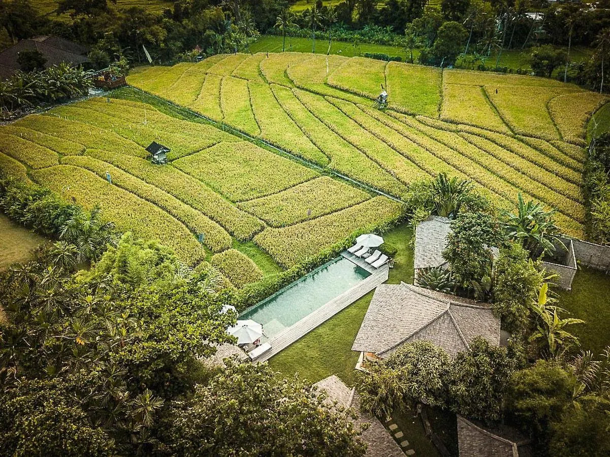 Vintage 8-Bedroom Villa Umalas Canggu